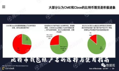 比特币钱包账户名的选择与使用指南