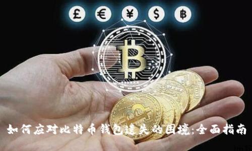 如何应对比特币钱包遗失的困境：全面指南