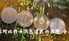 如何应对比特币钱包遗失