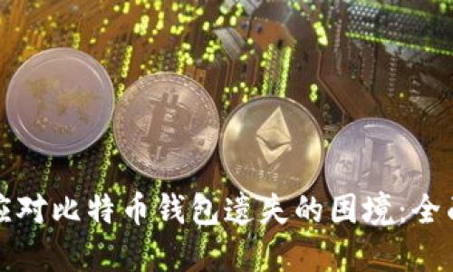 如何应对比特币钱包遗失的困境：全面指南