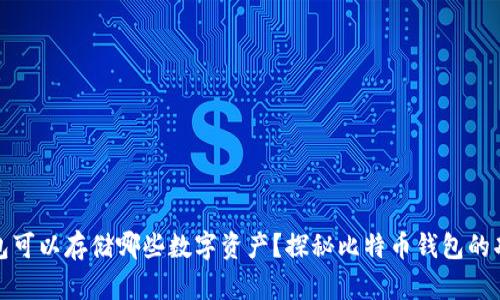 比特币钱包可以存储哪些数字资产？探秘比特币钱包的功能与限制