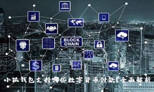小狐钱包支持哪些数字货币付款？全面解析