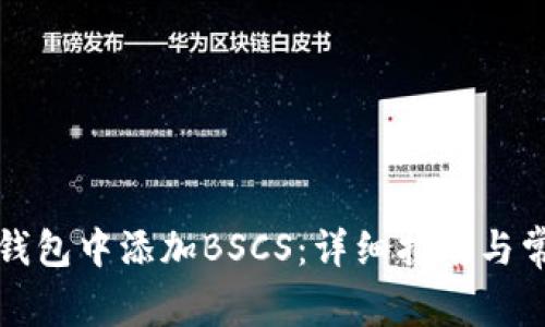 如何在小狐钱包中添加BSCS：详细指南与常见问题解答