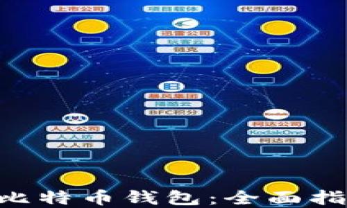
如何使用BTC比特币钱包：全面指南与实用技巧