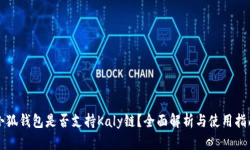 小狐钱包是否支持Kaly链？全面解析与使用指南