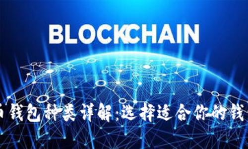 比特币钱包种类详解：选择适合你的钱包类型