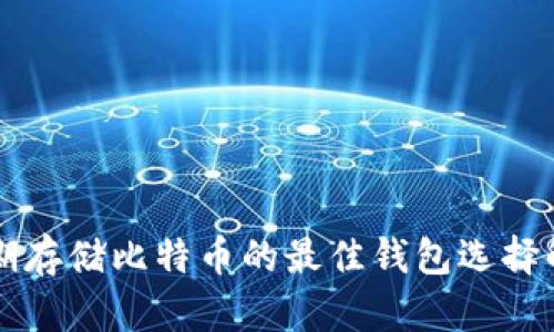 长期存储比特币的最佳钱包选择解析