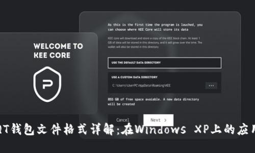 比特币QT钱包文件格式详解：在Windows XP上的应用与管理