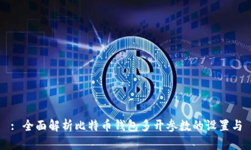 : 全面解析比特币钱包多开参数的设置与