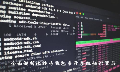 : 全面解析比特币钱包多开参数的设置与