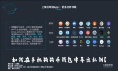 如何在手机狗狗币钱包中