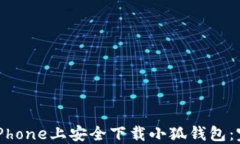 如何在iPhone上安全下载小
