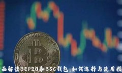 全面解读BEP20和BSC钱包：如