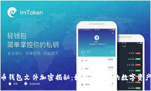 比特币钱包文件加密揭秘：如何保护你的数字资产安全