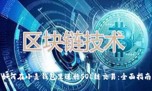 如何在小麦钱包里进行SOL链交易：全面指南