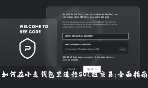 如何在小麦钱包里进行SOL链交易：全面指南