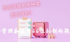 如何安全管理和使用16位私钥的狗狗币钱包