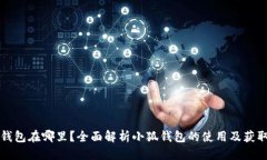 构想小狐钱包在哪里？全面解析小狐钱包的使用