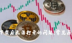 解决BitDock下载后无法打开
