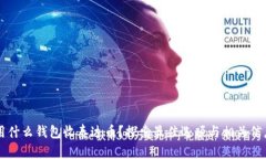 用什么钱包收泰达币？探索最佳选项与相关信息
