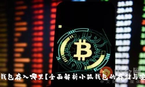 :
小狐钱包存入哪里？全面解析小狐钱包的存储与安全性