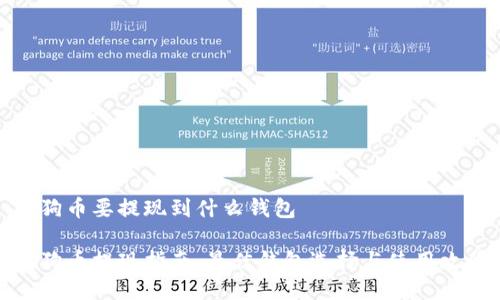 狗狗币要提现到什么钱包

狗狗币提现指南：最佳钱包选择与使用攻略