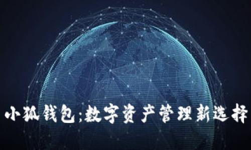 小狐钱包：数字资产管理新选择