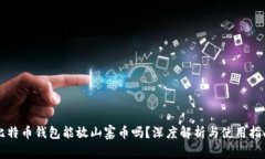 比特币钱包能放山寨币吗
