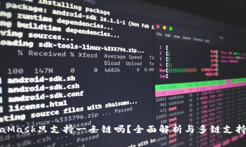 MetaMask只支持一条链吗？全面解析与多链支持详解