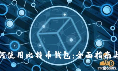 在中国如何使用比特币钱包：全面指南与深入探讨