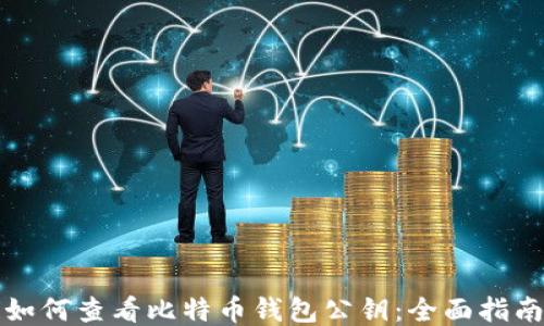 
如何查看比特币钱包公钥：全面指南