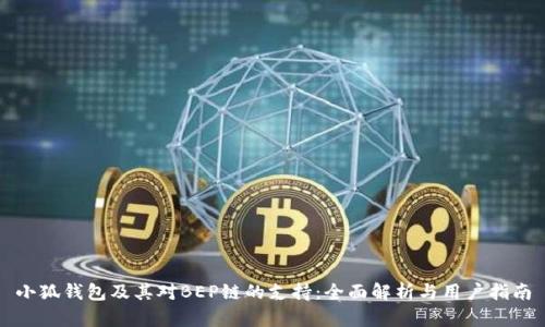 小狐钱包及其对BEP链的支持：全面解析与用户指南