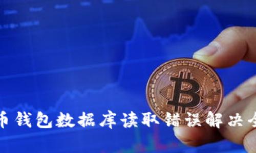 比特币钱包数据库读取错误解决全攻略