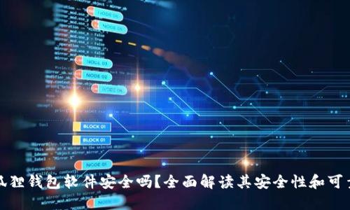 小狐狸钱包软件安全吗？全面解读其安全性和可靠性