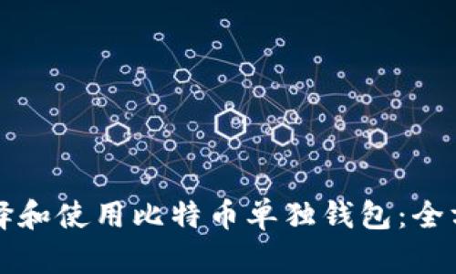 如何选择和使用比特币单独钱包：全方位指南