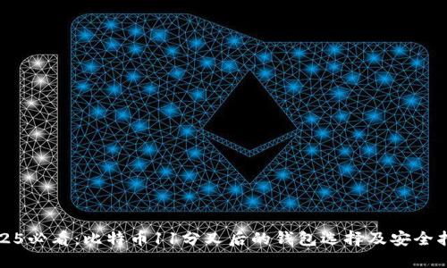 2025必看：比特币11分叉后的钱包选择及安全指南