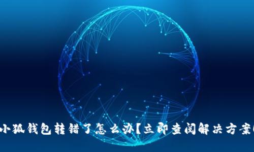 小狐钱包转错了怎么办？立即查阅解决方案！