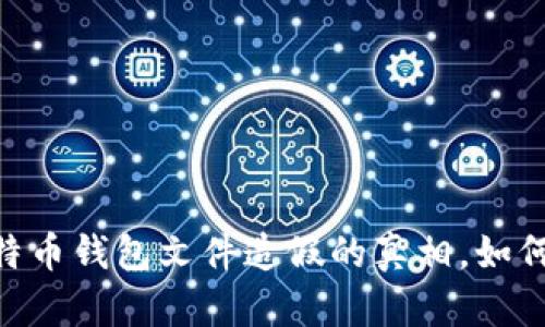 2025必看：揭秘比特币钱包文件造假的真相，如何保护你的资产安全