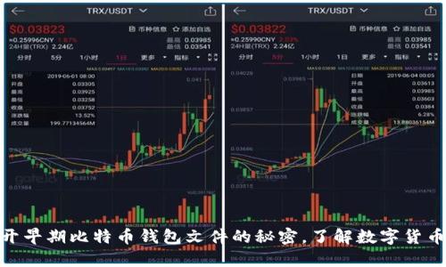 2025必看：揭开早期比特币钱包文件的秘密，了解数字货币的历史与未来