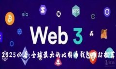 2025必看：全球最大的比特