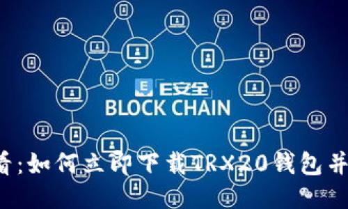 2025必看：如何立即下载TRX20钱包并安全使用