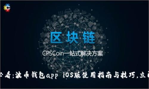 2025必看：波币钱包app iOS版使用指南与技巧，立即下载！