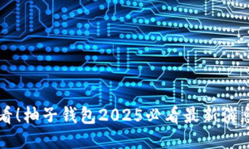立即查看！柚子钱包2025必看最新消息与更新