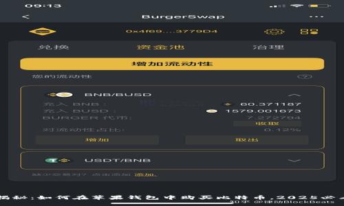 立即揭秘：如何在苹果钱包中购买比特币，2025必看指南