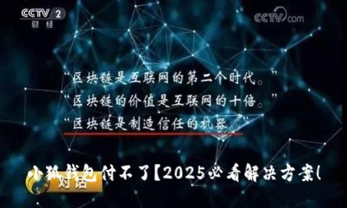 小狐钱包付不了？2025必看解决方案！