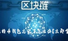 2025必看！比特币钱包忘记
