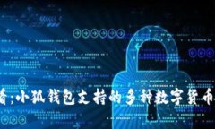 2025必看：小狐钱包支持的