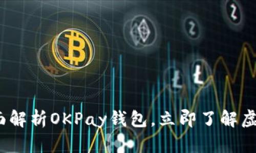 2025必看：全面解析OKPay钱包，立即了解虚拟钱包的未来！