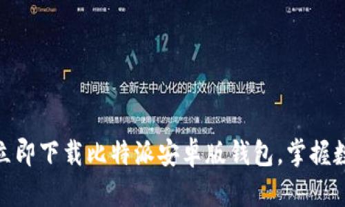 2025必看：立即下载比特派安卓版钱包，掌握数字资产未来