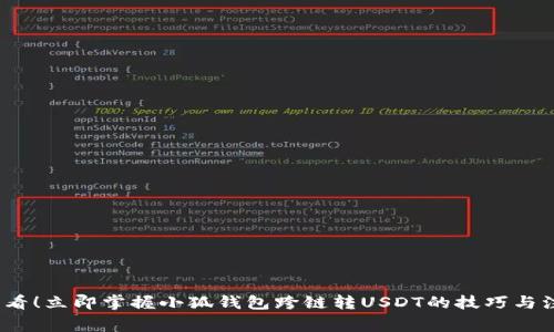 2025必看！立即掌握小狐钱包跨链转USDT的技巧与注意事项